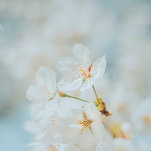 Превью обои пляж, закат, вода, камни, песок, море, сумерки