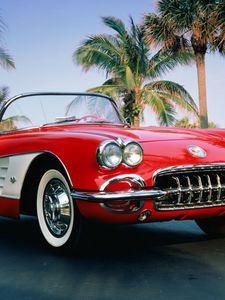 Превью обои 1960 chevrolet corvette, chevrolet corvette, chevrolet, кабриолет, красный, пальмы