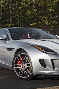 Превью обои 2015, jaguar, f type, серый, вид сбоку