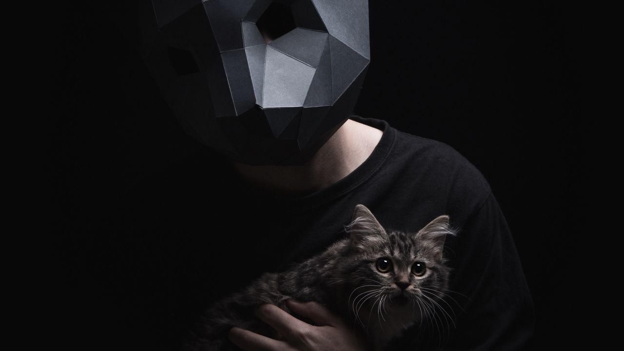 Обои 3d-маска, маска, кот, темный, объемный