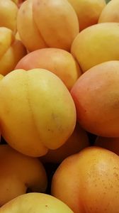 Превью обои абрикос, фрукты, спелый