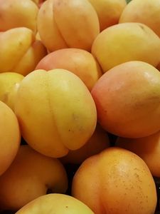 Превью обои абрикос, фрукты, спелый