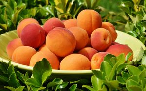 Превью обои абрикос, фрукты, тарелка, листья