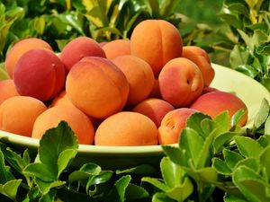 Превью обои абрикос, фрукты, тарелка, листья