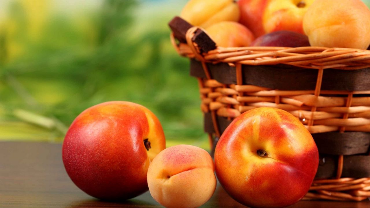 Обои абрикосы, фрукты, персики, нектарин, фрукт