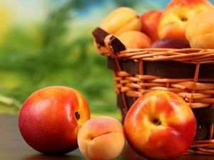 Превью обои абрикосы, фрукты, персики, нектарин, фрукт