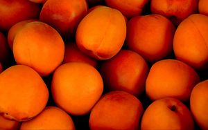 Превью обои абрикосы, фрукты, спелый
