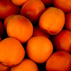 Превью обои абрикосы, фрукты, спелый