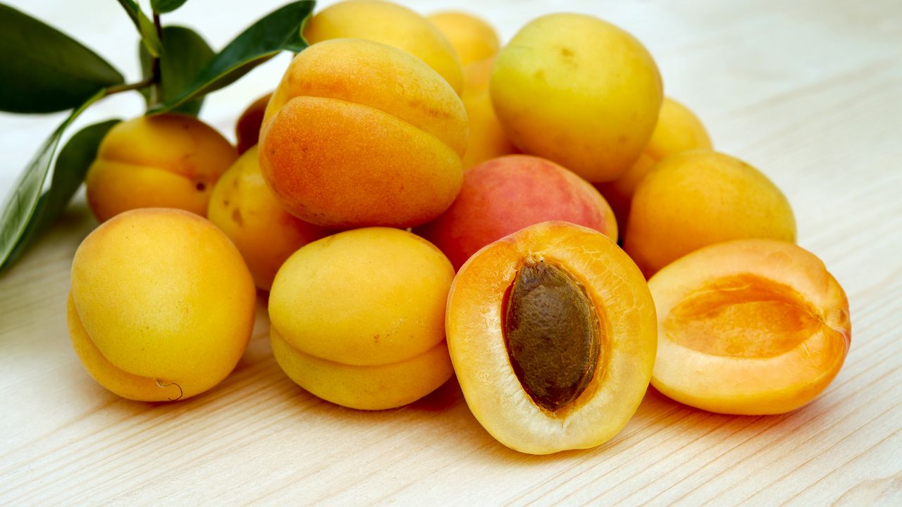 Обои абрикосы, фрукты, спелый, косточка