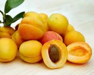 Превью обои абрикосы, фрукты, спелый, косточка