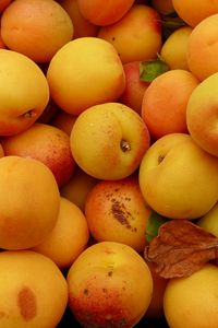 Превью обои абрикосы, фрукты, свежий, желтый