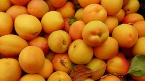 Превью обои абрикосы, фрукты, свежий, желтый