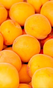 Превью обои абрикосы, фрукты, желтый, спелый, свежий