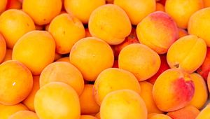 Превью обои абрикосы, фрукты, желтый, спелый, свежий