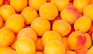 Превью обои абрикосы, фрукты, желтый, спелый, свежий