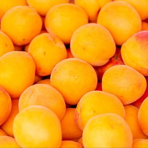 Превью обои абрикосы, фрукты, желтый, спелый, свежий