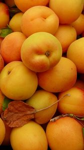 Превью обои абрикосы, фрукты, желтый, спелый, лето