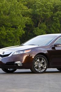 Превью обои acura, tl, 2008, бордовый, вид сбоку, стиль, акура, авто, деревья