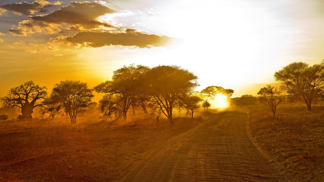 Обои африка, дорога, рассвет, песок, деревья