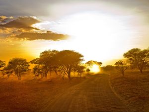 Превью обои африка, дорога, рассвет, песок, деревья