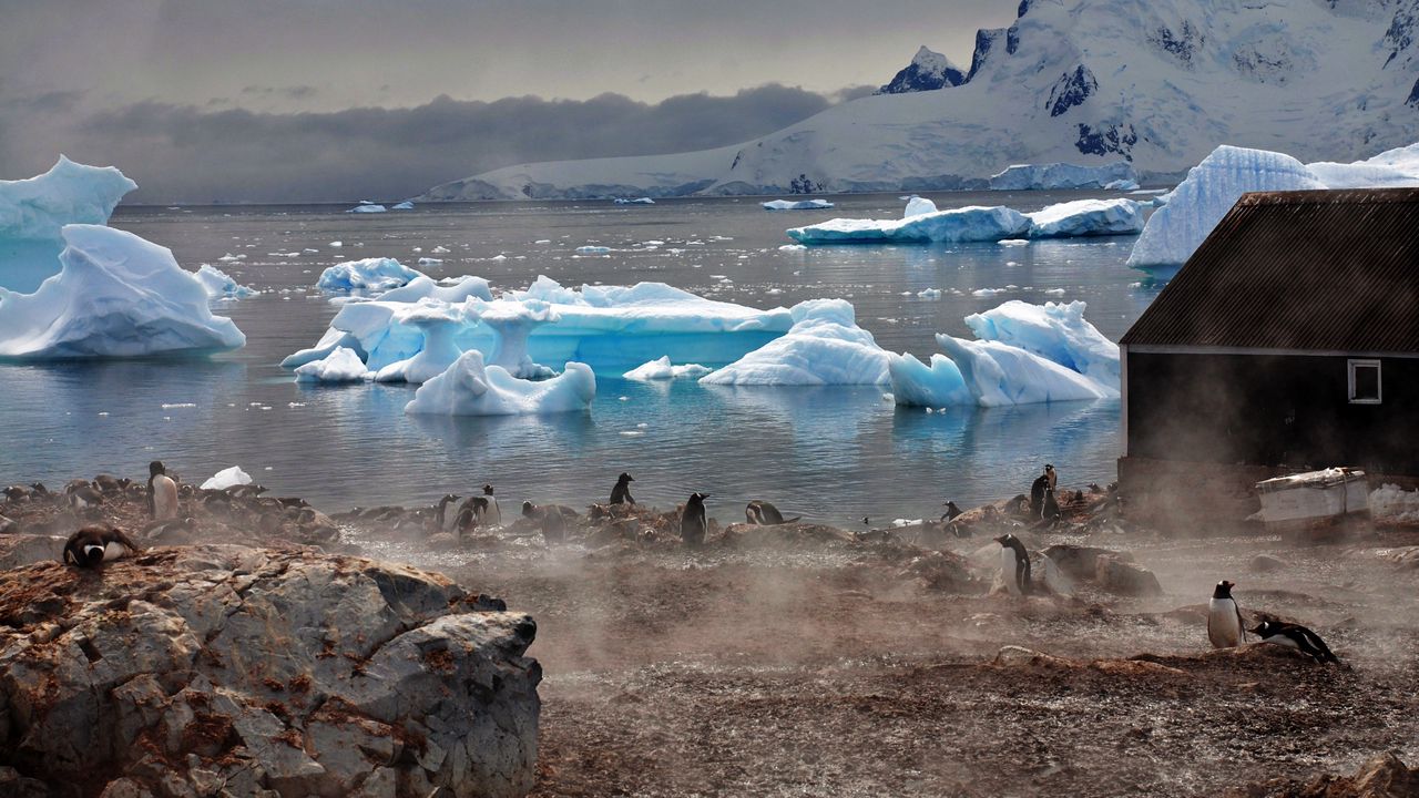 Обои айсберги, антарктида, белые, глыбы, берег, пингвины, туман, домик