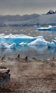 Превью обои айсберги, антарктида, белые, глыбы, берег, пингвины, туман, домик