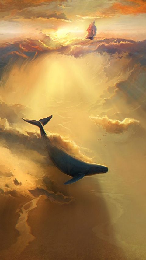 480x854 Обои акула, дельфин, море, арт, подводный мир