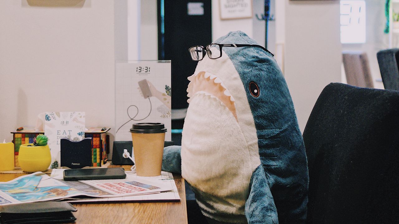 Обои акула, игрушка, юмор, работа, офис