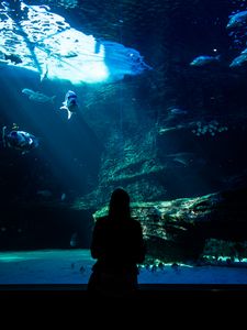 Превью обои аквариум, рыбы, силуэт, темный, подводный мир
