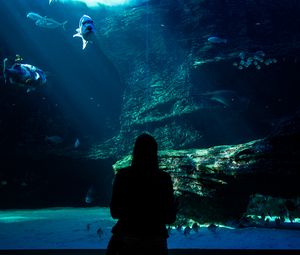 Превью обои аквариум, рыбы, силуэт, темный, подводный мир