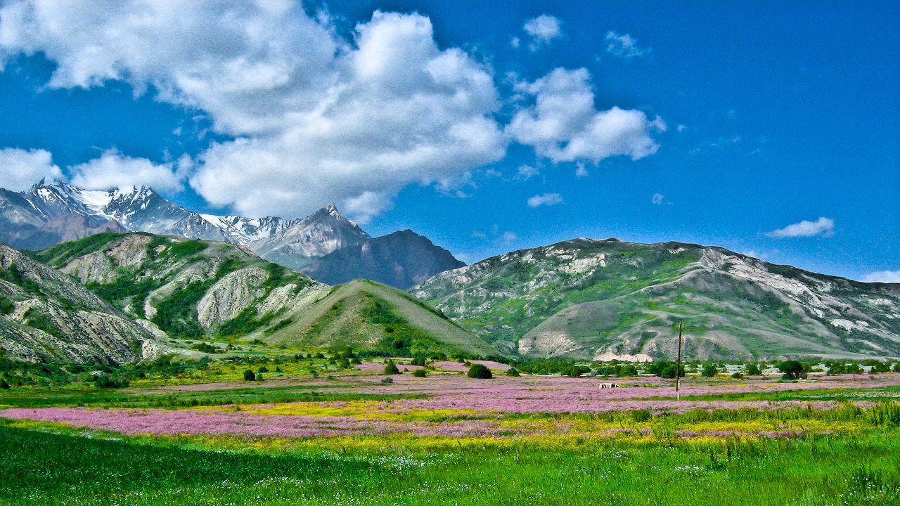 Обои алай, кыргызстан, юг