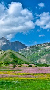 Превью обои алай, кыргызстан, юг