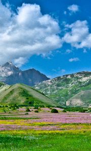 Превью обои алай, кыргызстан, юг