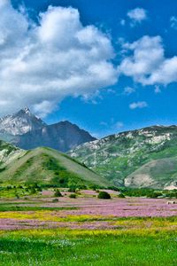 Превью обои алай, кыргызстан, юг