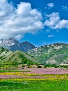 Превью обои алай, кыргызстан, юг