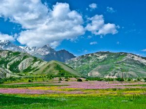 Превью обои алай, кыргызстан, юг