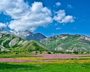 Превью обои алай, кыргызстан, юг