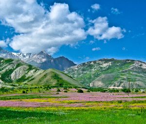 Превью обои алай, кыргызстан, юг