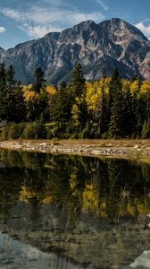 Превью обои альберта, канада, горы, озеро, деревья, отражение