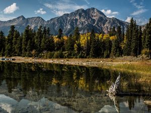 Превью обои альберта, канада, горы, озеро, деревья, отражение