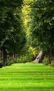Превью обои аллея, деревья, дорожка, лето, парк, листья, газон