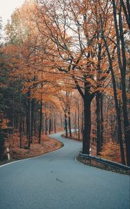 Превью обои аллея, дорога, деревья, извилистый, осень