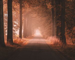 Превью обои аллея, дорога, деревья, даль