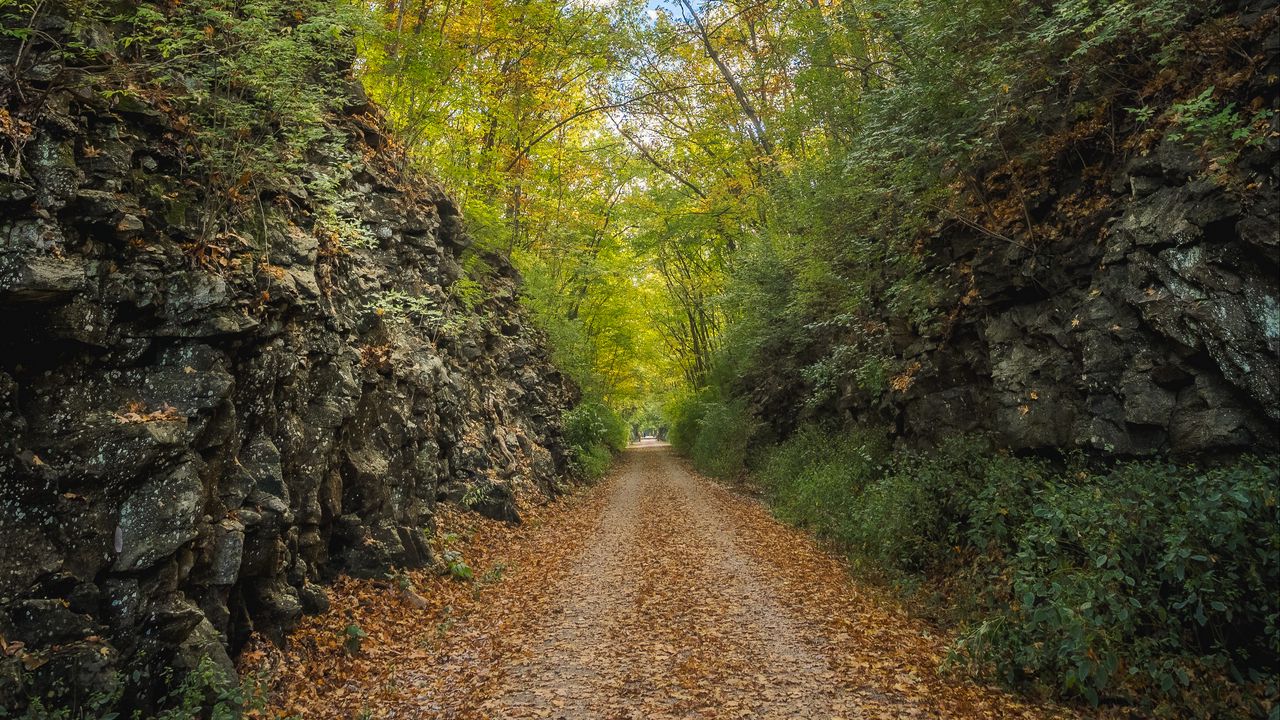 Обои аллея, дорога, листва, камень