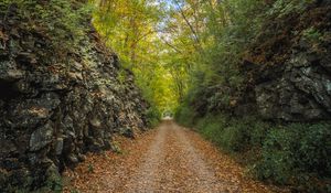 Превью обои аллея, дорога, листва, камень