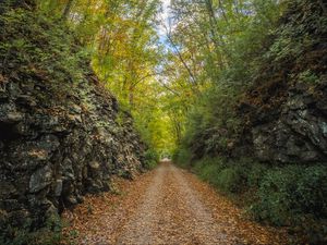 Превью обои аллея, дорога, листва, камень