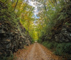 Превью обои аллея, дорога, листва, камень