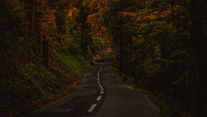 Превью обои аллея, тропинка, деревья, кусты, ветки
