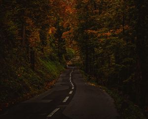 Превью обои аллея, тропинка, деревья, кусты, ветки