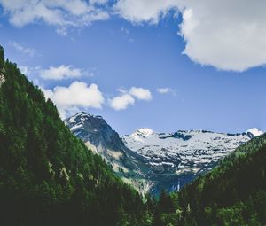 Превью обои альпы, горы, вершина, деревья